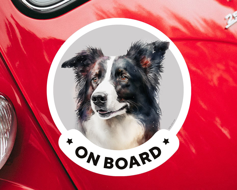 Border collie on board car window sticker. Car accessories - original gift for dog lovers!