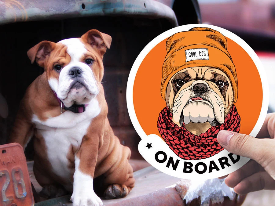 English Bulldog hipster on board car window sticker. Car accessories - original gift for dog lovers!