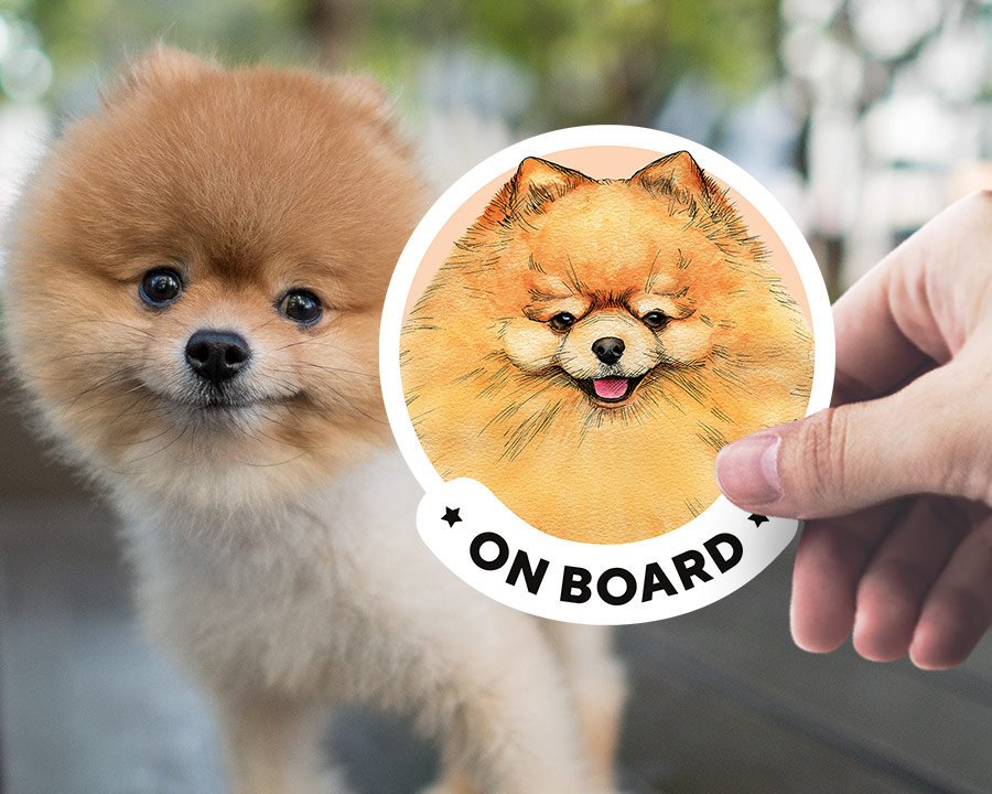 Pomeranian dog breed car window sticker. Car accessories - original gift for dog lovers!