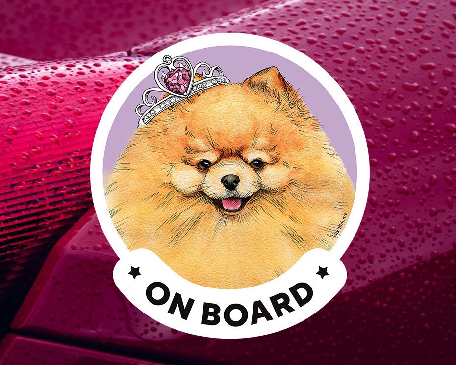 Pomeranian dog breed car window sticker. Car accessories - original gift for dog lovers!